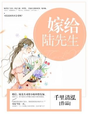 亲爱的陆先生 作者西大秦