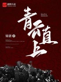 少年宗师的