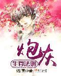 炮灰生存指南破解版