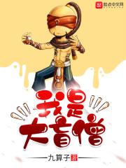 盲僧大招什么意思