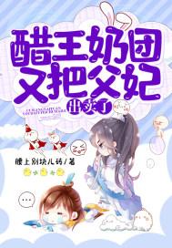 醋王宠妻手札免费